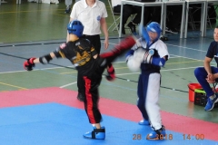 Mistrzostwa Polski kadetów, juniorów i seniorów pointfighting Kick Boxing – Mysiadło