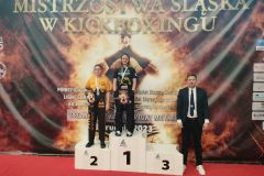 Otwarte Mistrzostwa Śląska w Kickboxingu - 3.12.2023 , Będzin
